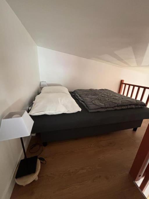 Charmante Maison Bord De Marne Maisons-Alfort Bagian luar foto